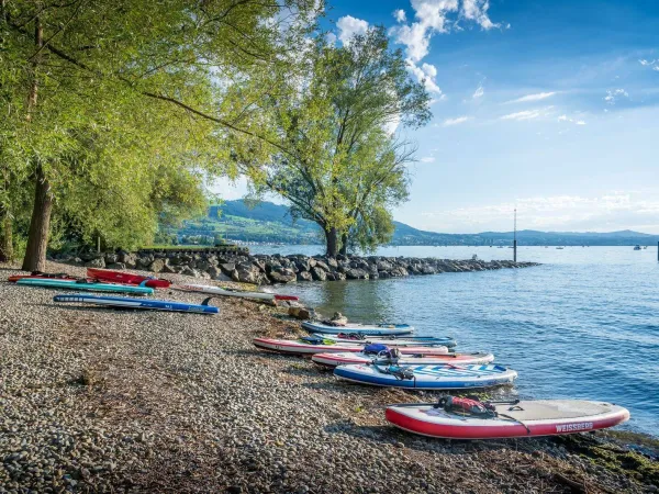 Bild des Wettbewerbs Gewinne einen 100-Franken-Gutschein beim SUP-Quiz am Bodensee!