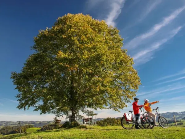 Bild des Wettbewerbs Gewinne mit freizeit.ch einen unvergesslichen E-Bike-Tag im Emmental